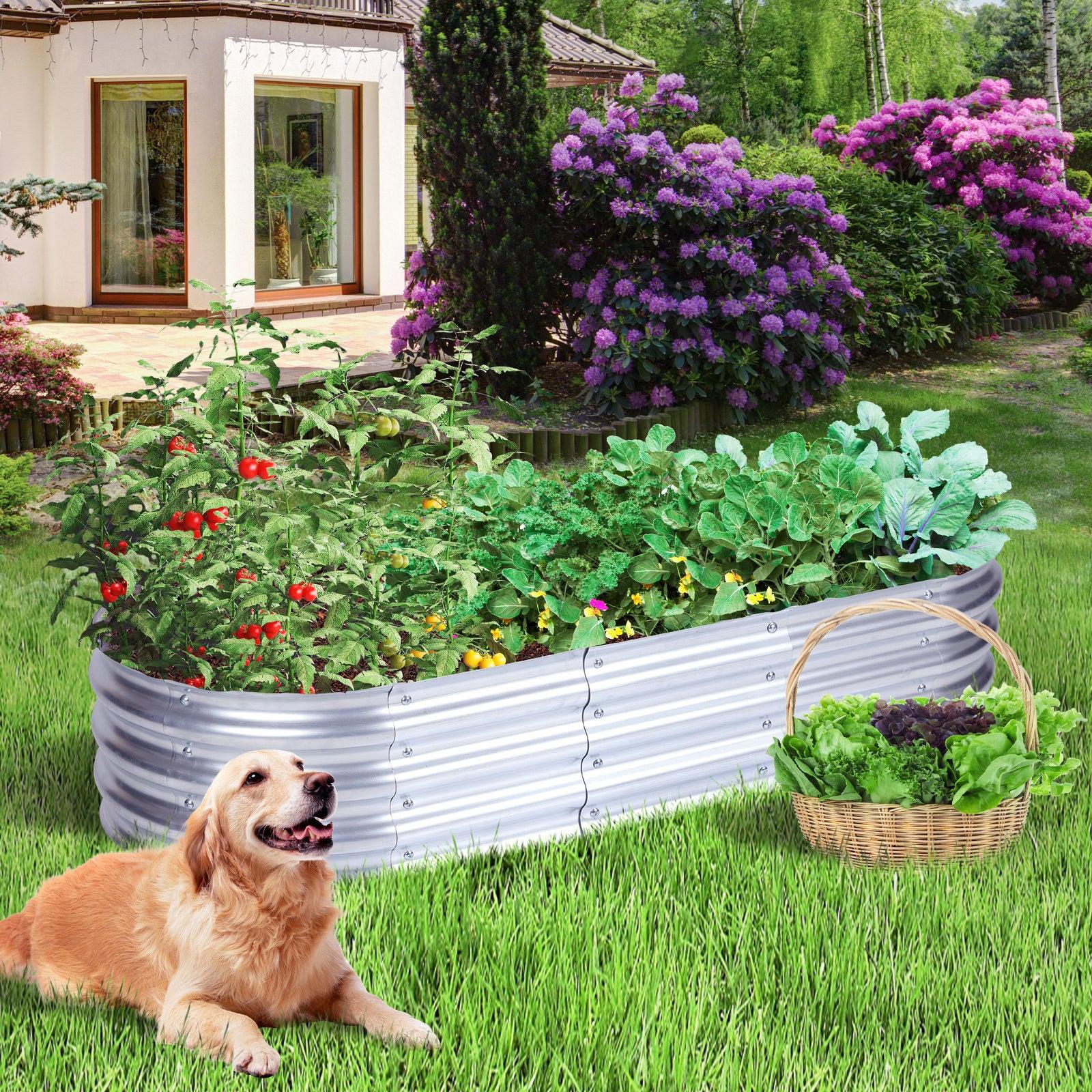 59_L_x24_W_x12_H_inch_Galvanized_Raised_Garden_Bed_Kit_Outdoor_Garden_Planter_Oval_Large_Boxes_for_Vegetables_Flowers_Herbs_-_Silver_-1